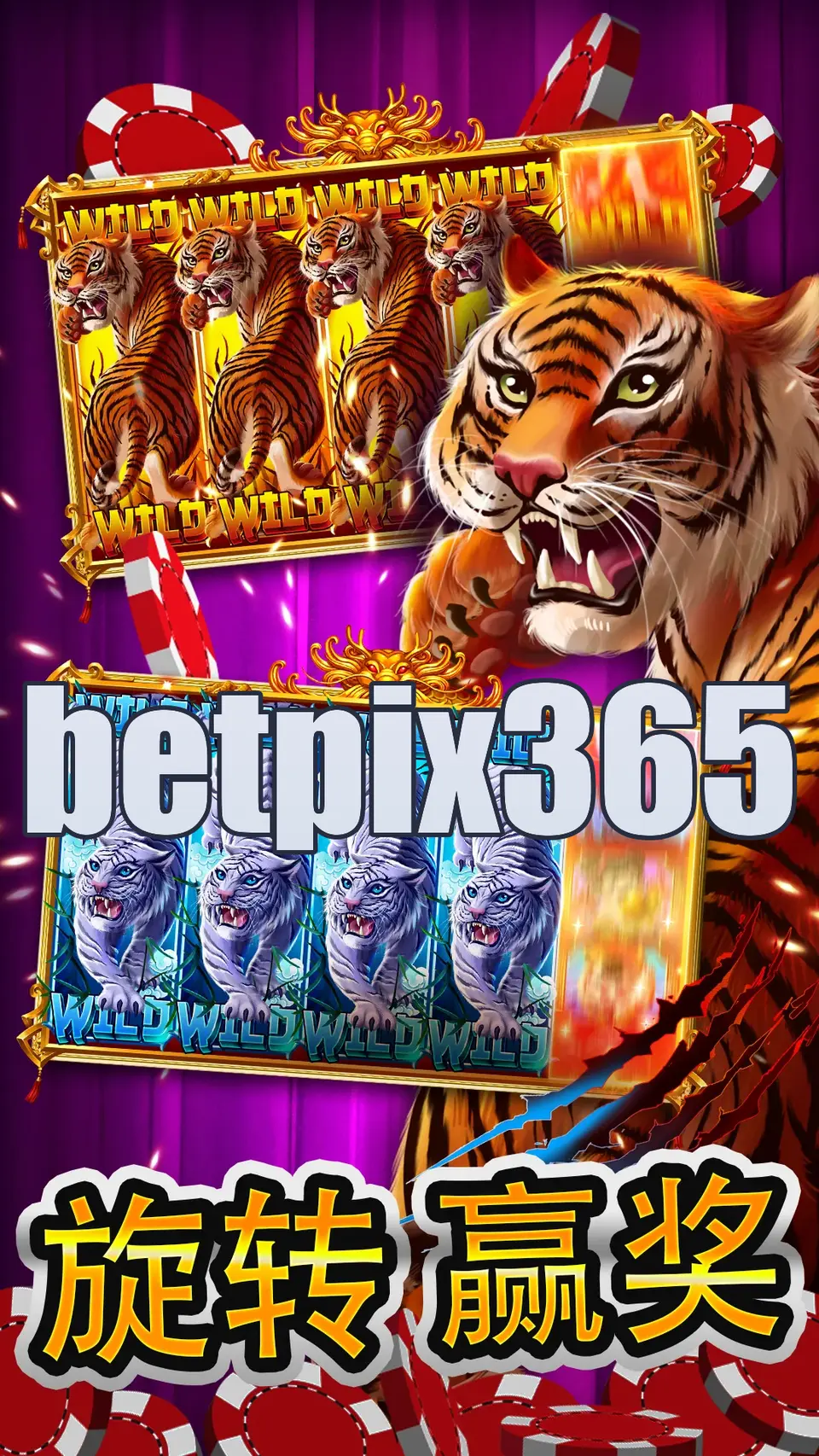 betpix365 Login